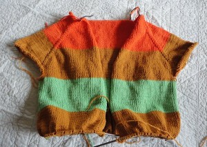 Nicole's Sweater