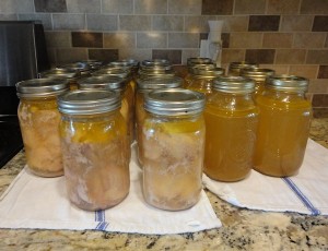 Canning Chicken - Patchwork Times by Judy Laquidara