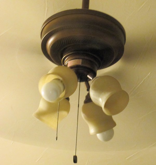 Bulbs in Fan