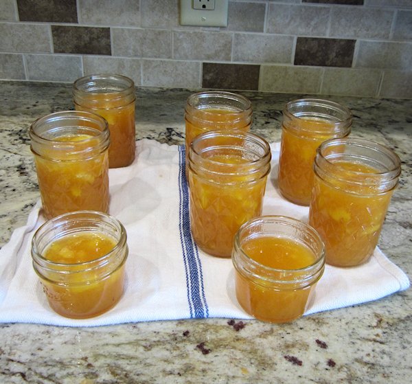 Cantaloupe Jam