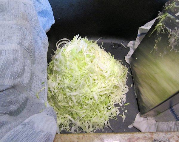 Shredded Cabbage