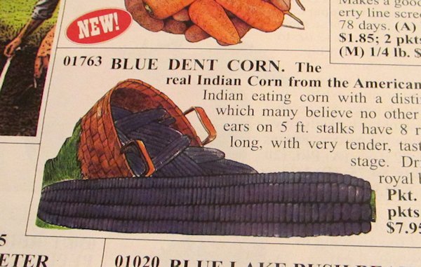 Blue Corn