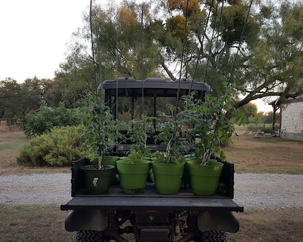 RTV Loaded with Plants