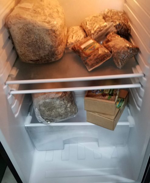 A look inside the fridge