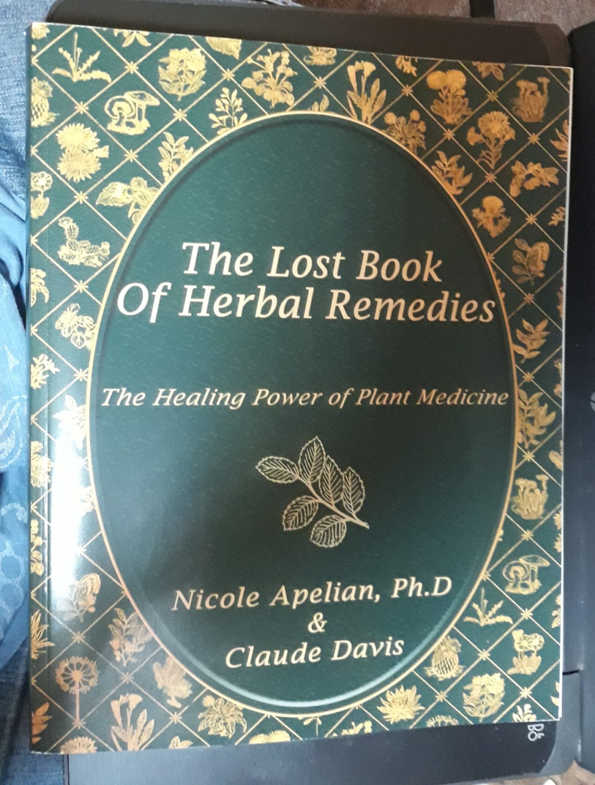 The Lost Book of Herbal Remedies — Patchwork Times by Judy Laquidara