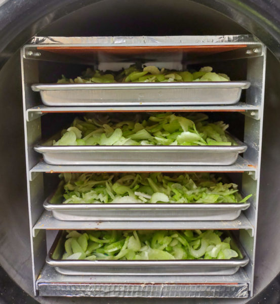 Celery in the Freeze Dryer — Patchwork Times by Judy Laquidara