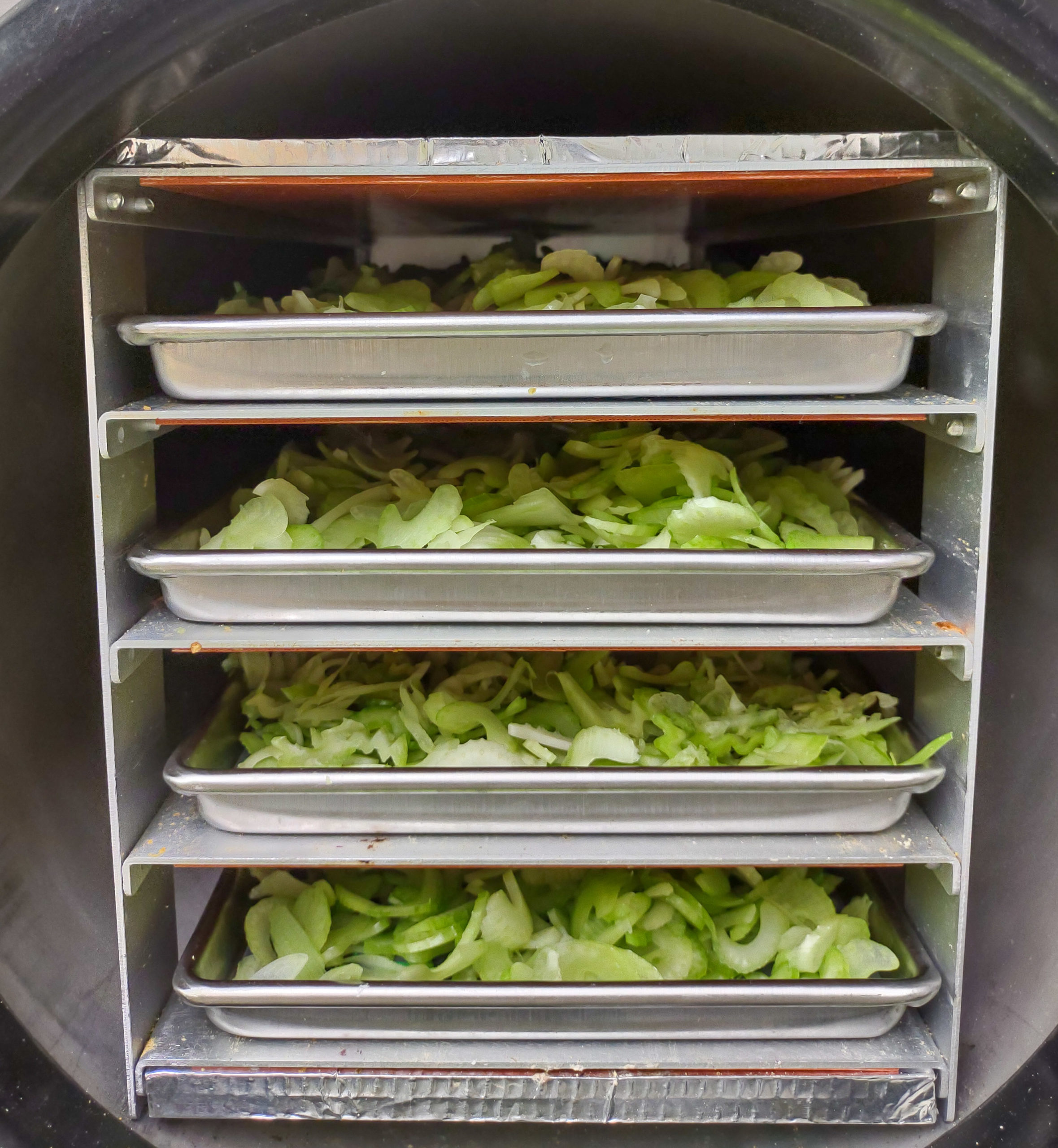 Celery in the Freeze Dryer — Patchwork Times by Judy Laquidara